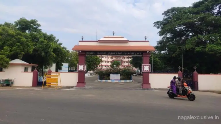 IMG 20201104 155706 1 768x432