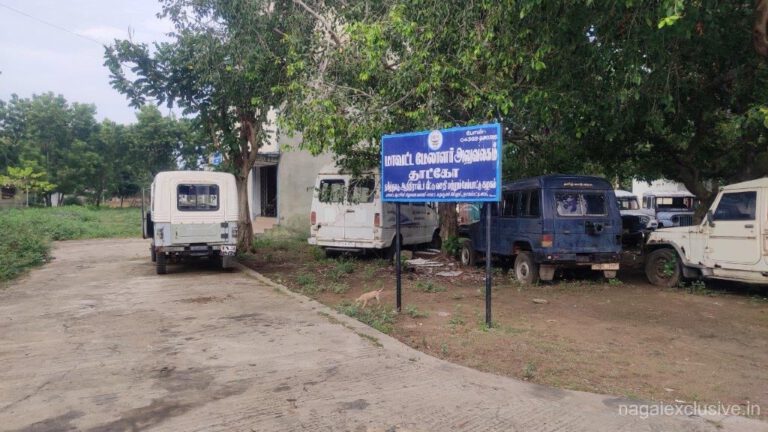 IMG 20201104 160739 1 768x432