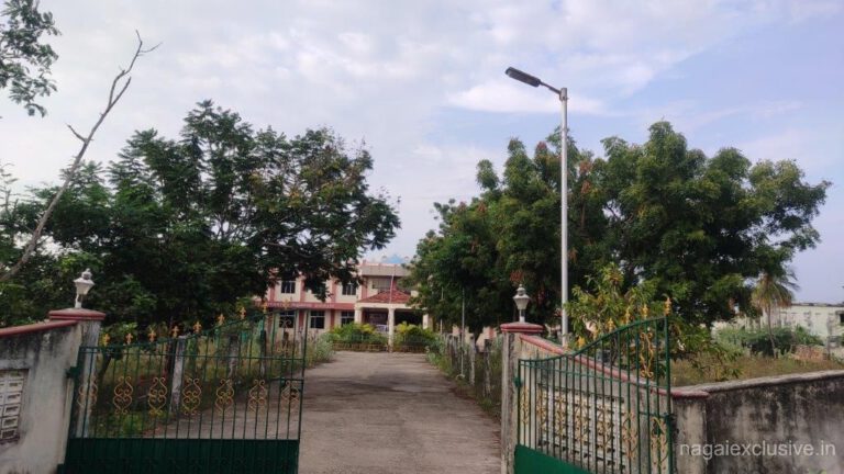 IMG 20201104 161604 1 768x432