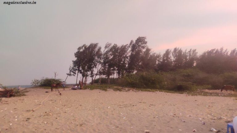 Nagaiexclusive NagoreBeach 4 768x432