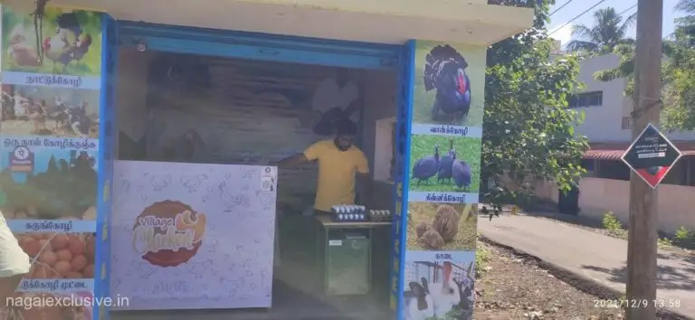 village chicken nagapattinam nagaiexclusive 3 768x354