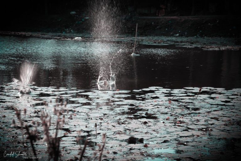 ThirdEye Photography 1 768x512