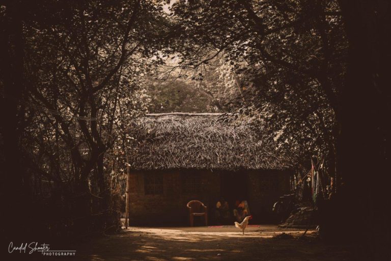 ThirdEye Photography 13 768x512