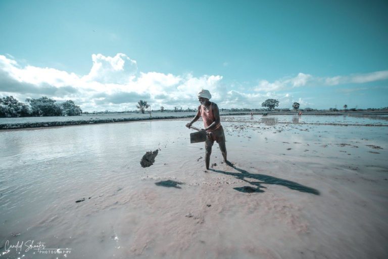 ThirdEye Photography 8 768x512