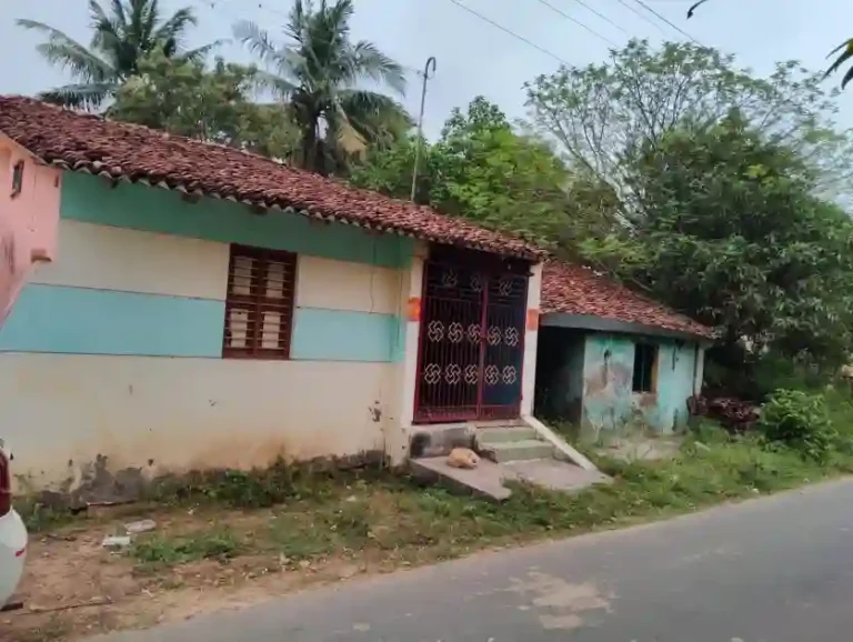 poraiyar2 nagaiexclusive 768x578